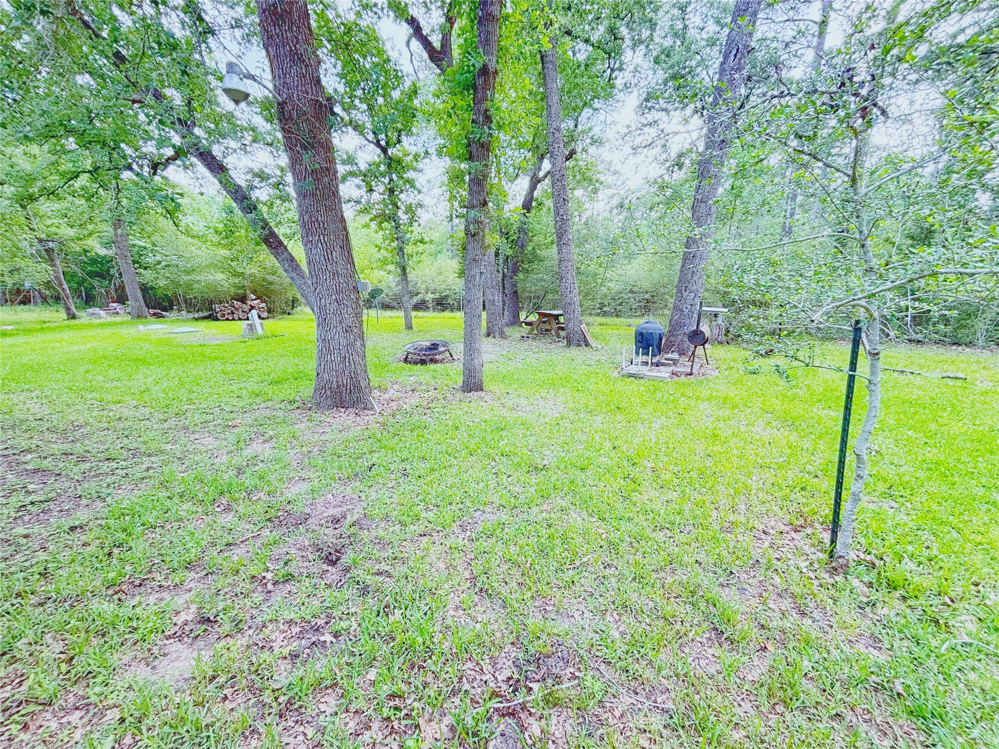 8 River Drive Trinity, TX 75862 - Photo 25 of 36 a view of a backyard with large trees