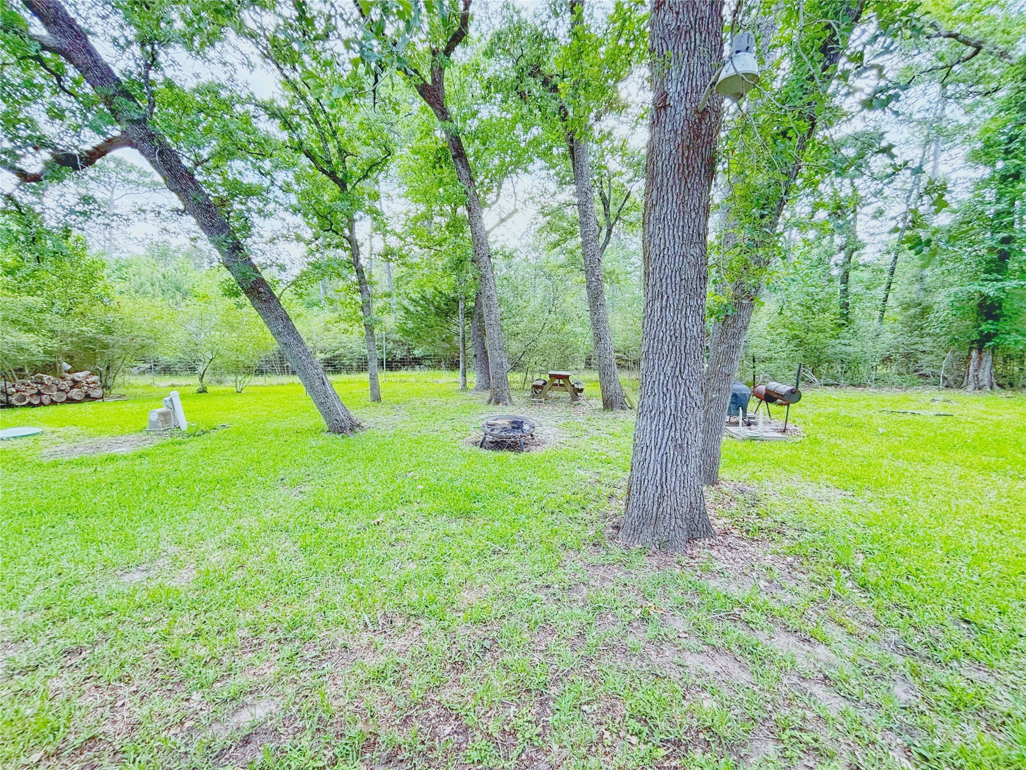8 River Drive Trinity, TX 75862 - Photo 26 of 36 a view of a park with a tree