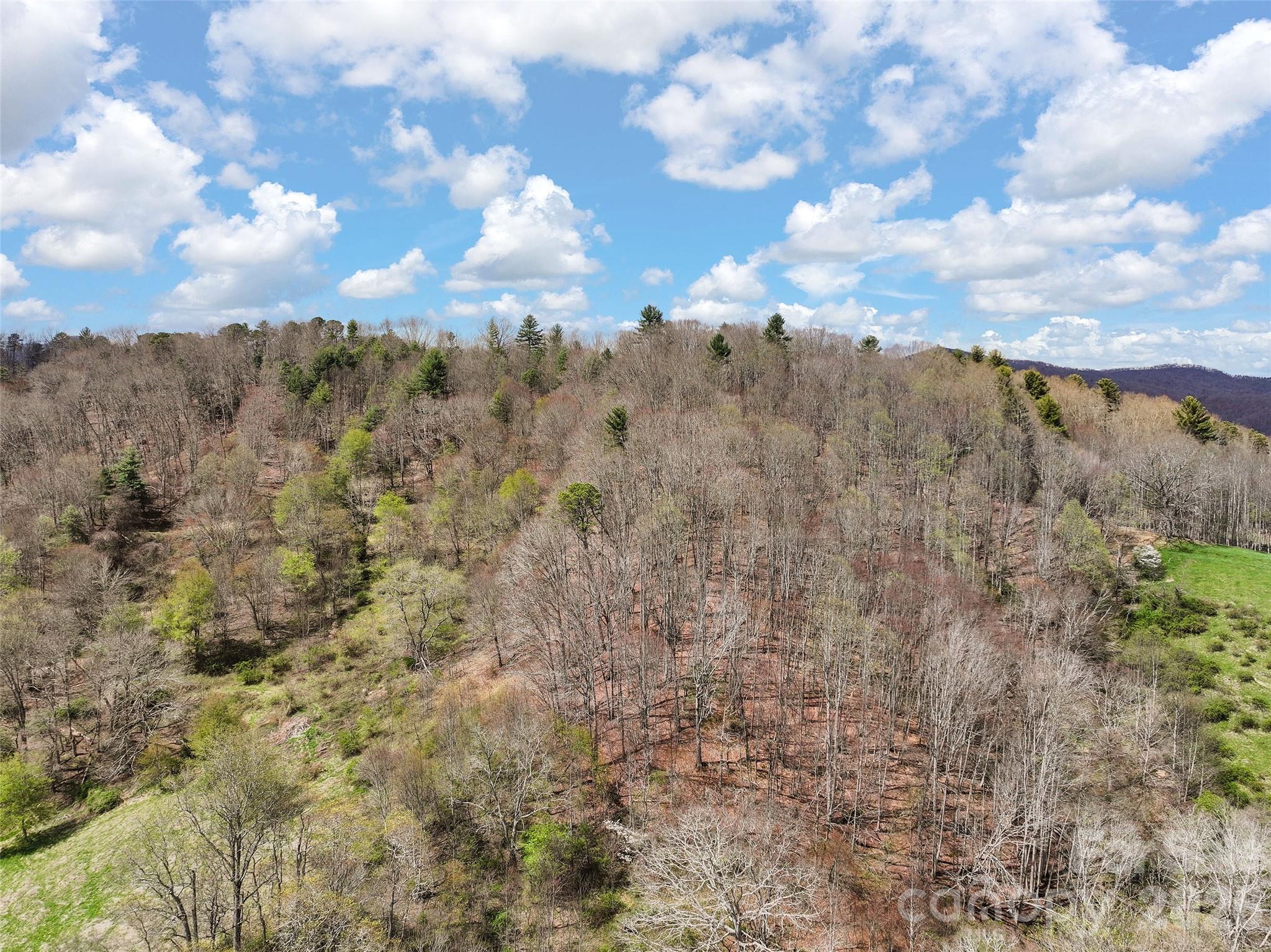 0 Inheritance Mountain Road Waynesville, NC 28785 - Photo 18 of 18