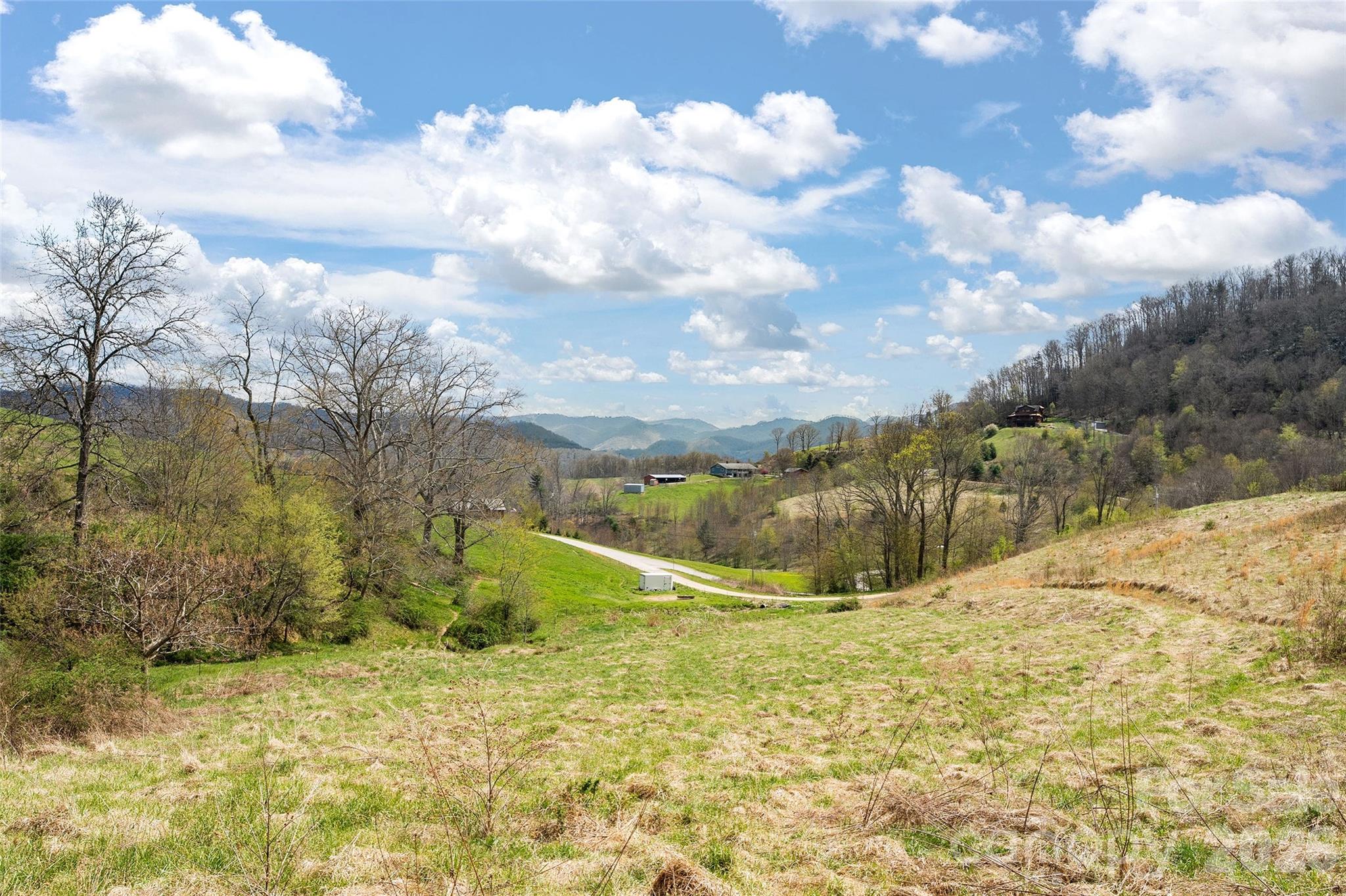 0 Inheritance Mountain Road Waynesville, NC 28785 - Photo 3 of 18