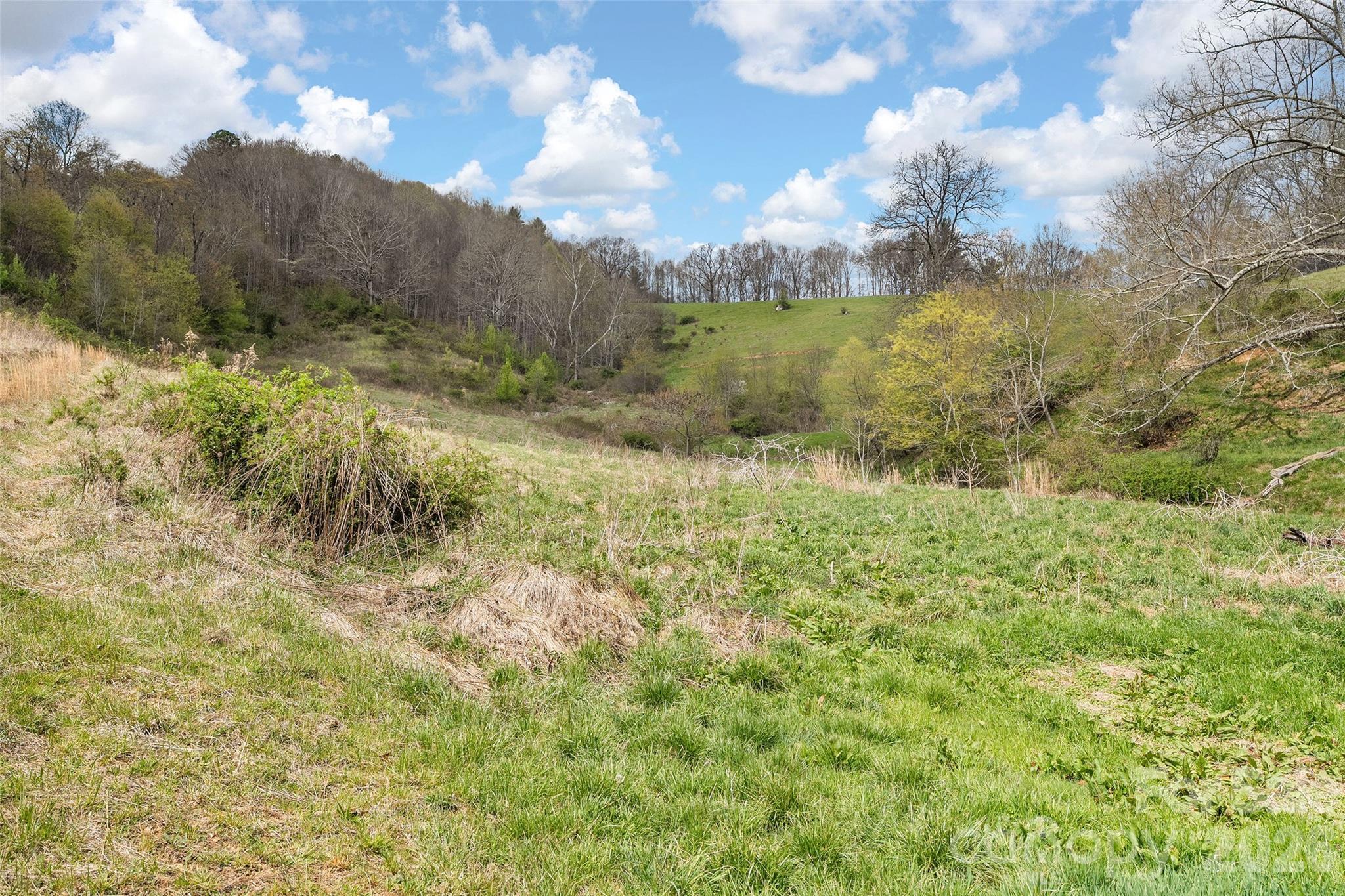 0 Inheritance Mountain Road Waynesville, NC 28785 - Photo 4 of 18