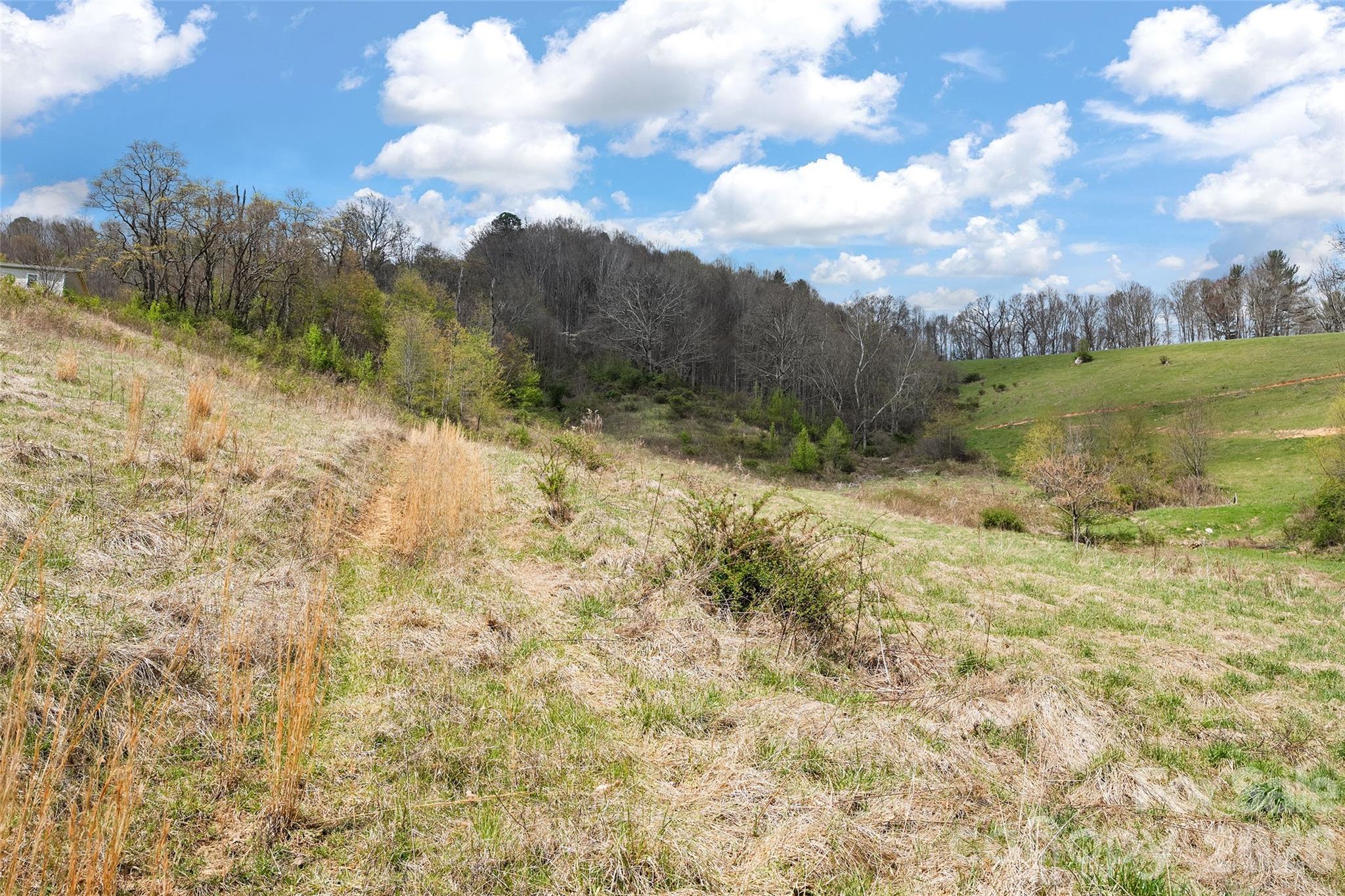 0 Inheritance Mountain Road Waynesville, NC 28785 - Photo 6 of 18