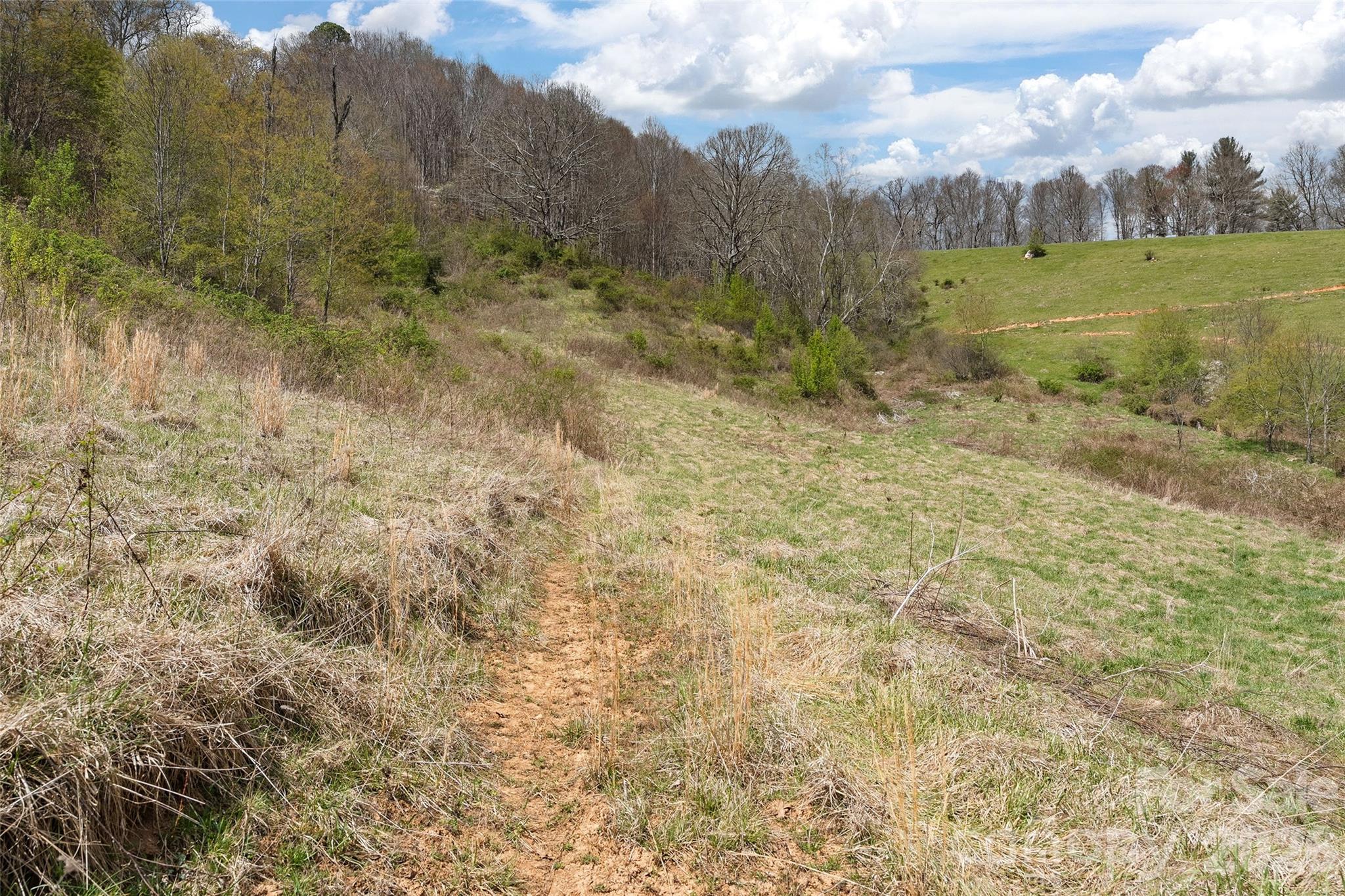 0 Inheritance Mountain Road Waynesville, NC 28785 - Photo 7 of 18