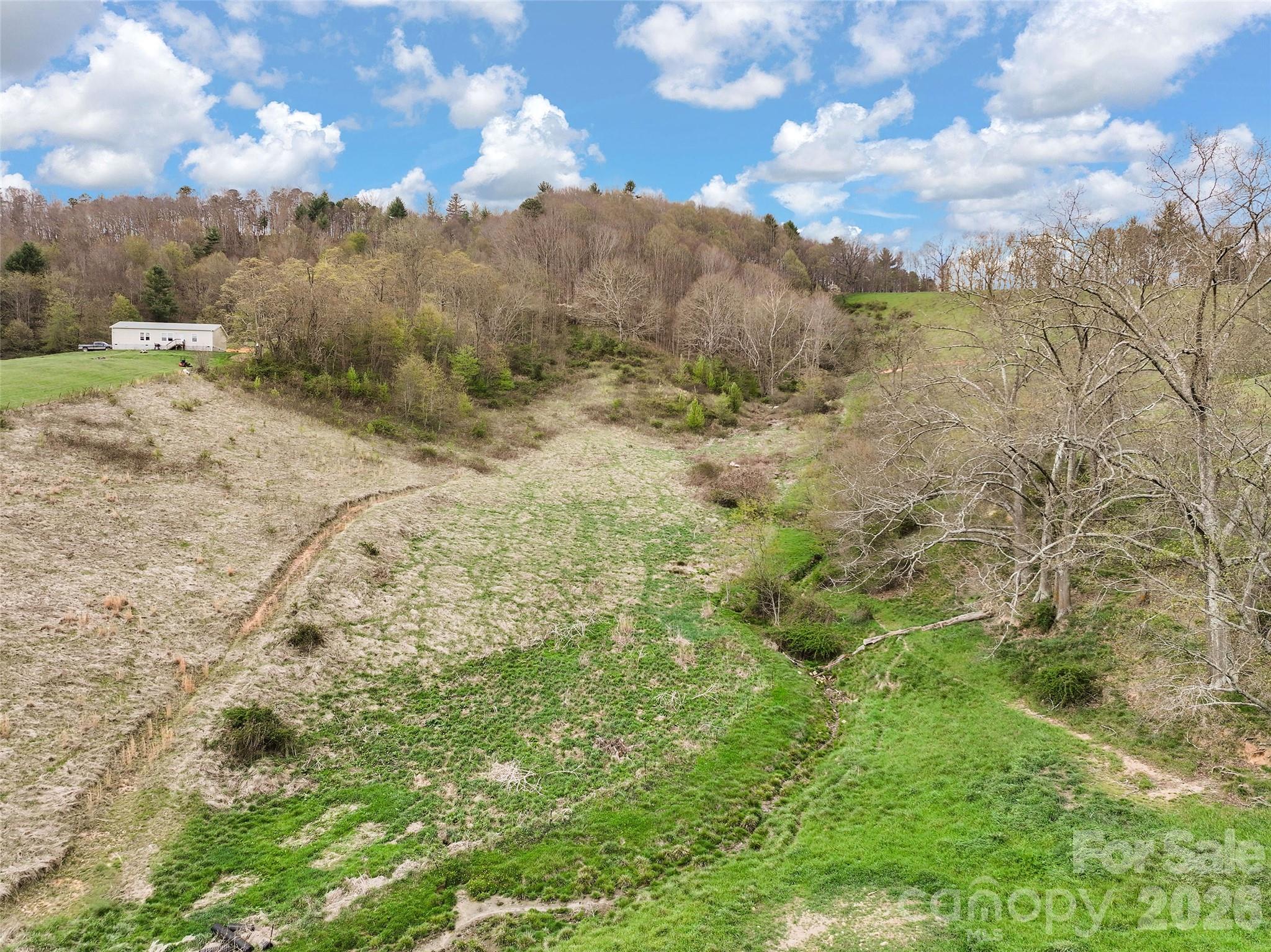 0 Inheritance Mountain Road Waynesville, NC 28785 - Photo 10 of 18