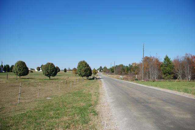 579 State Rd S-42-1256 Enoree, SC 29335 - Photo 4 of 4 Gallery Image 4