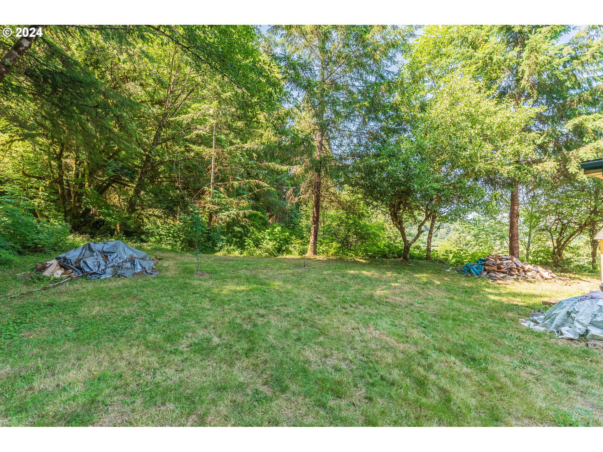 339 Jd Lane Reedsport, OR 97467 - Photo 31 of 35 a view of a backyard with large trees