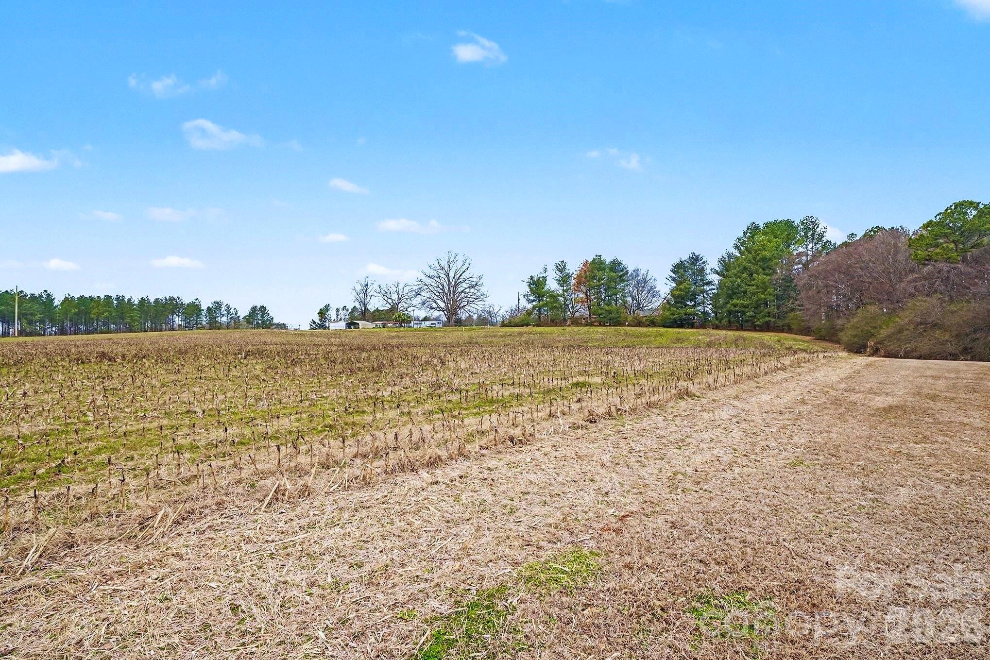 29660 Sides Road Albemarle, NC 28001 - Photo 19 of 22
