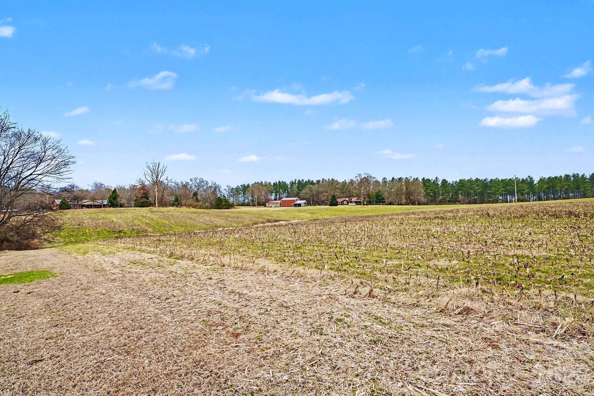 29660 Sides Road Albemarle, NC 28001 - Photo 21 of 22