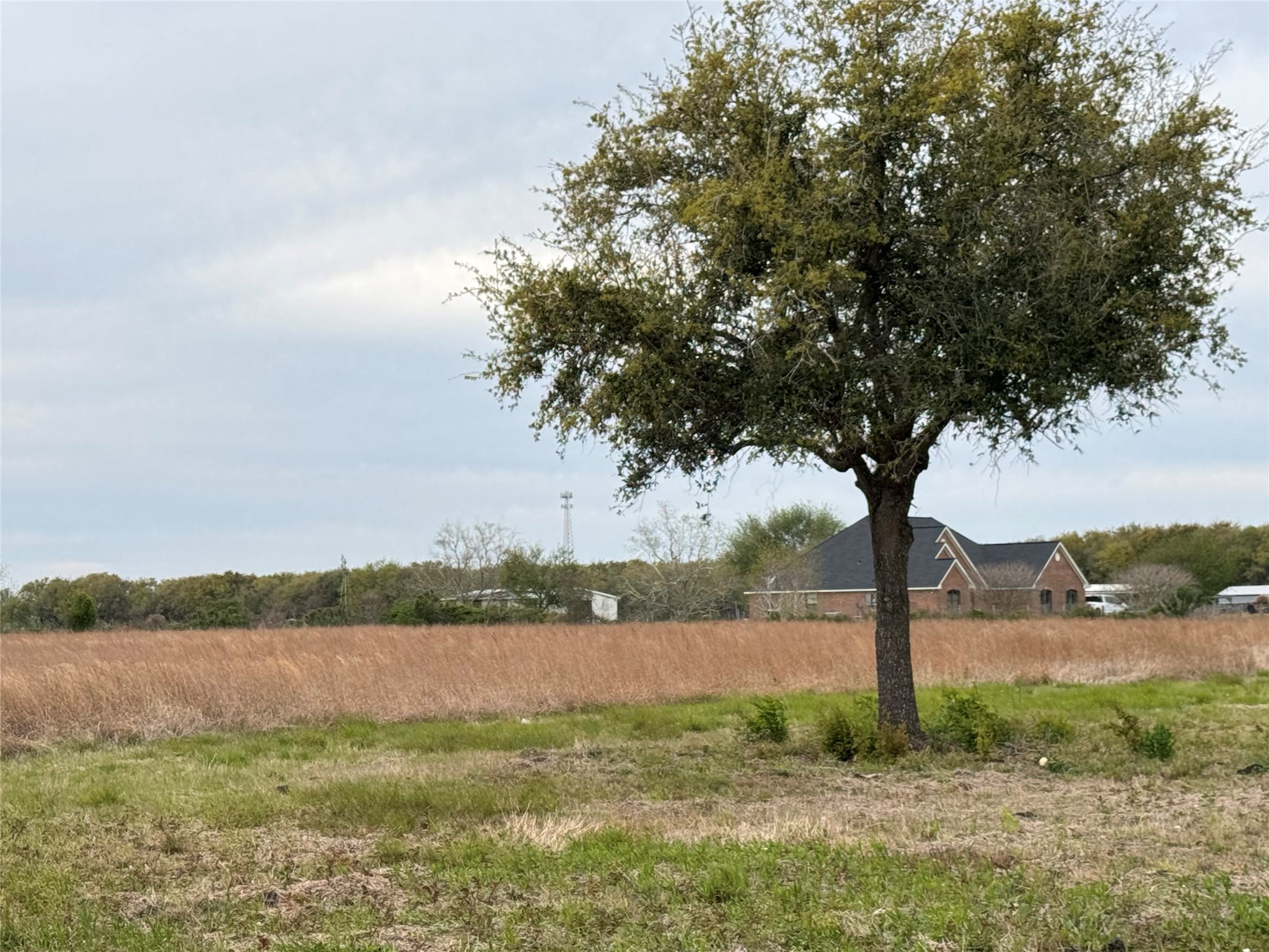 3 County Road 46 Angleton, TX 77515 - Photo 9 of 14
