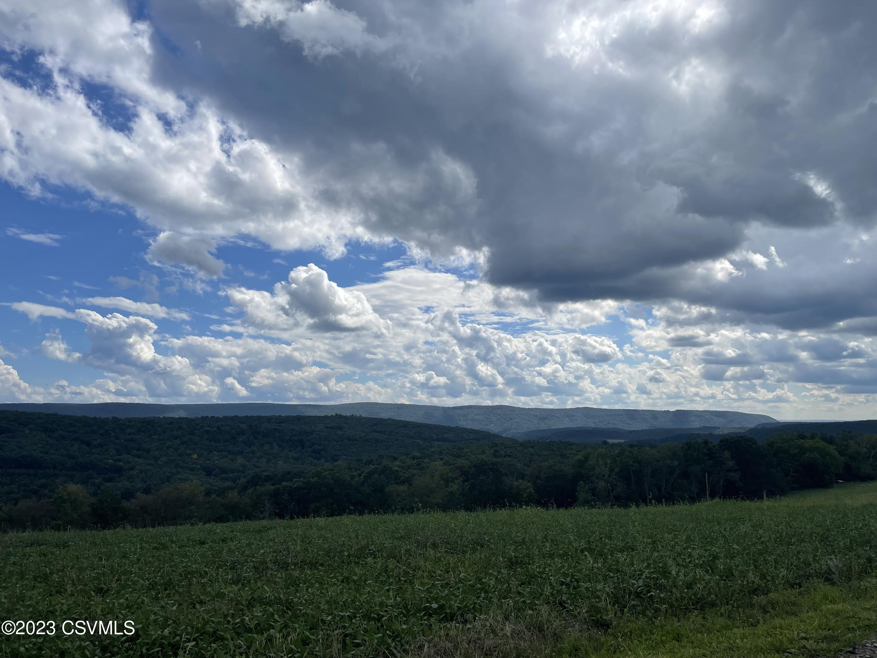 Buck Road Stillwater, PA 17878 - Photo 11 of 11