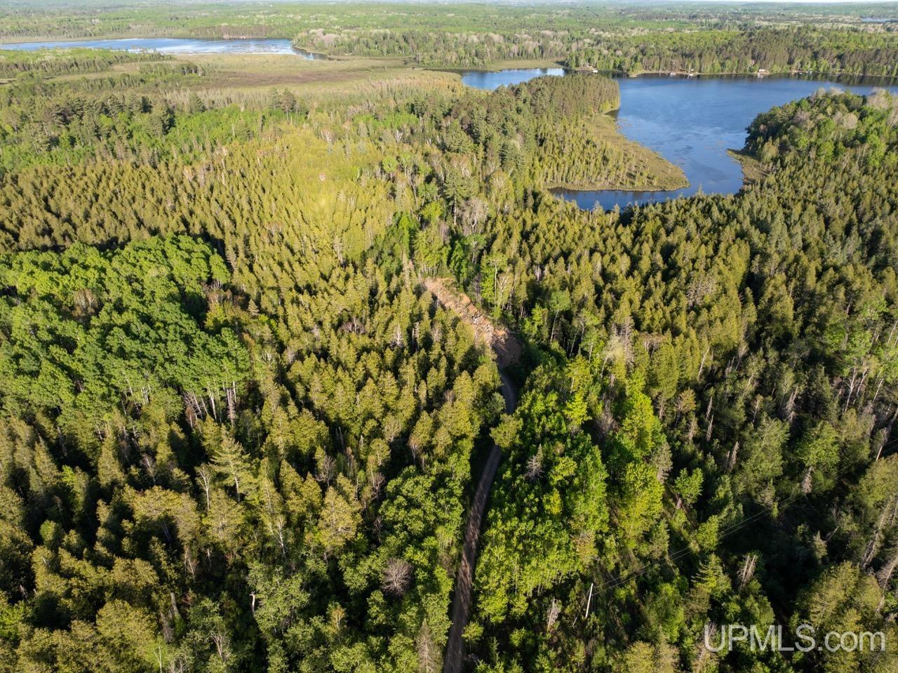 730 Premo Creek Road Crystal Falls, MI 49920 - Photo 77 of 91