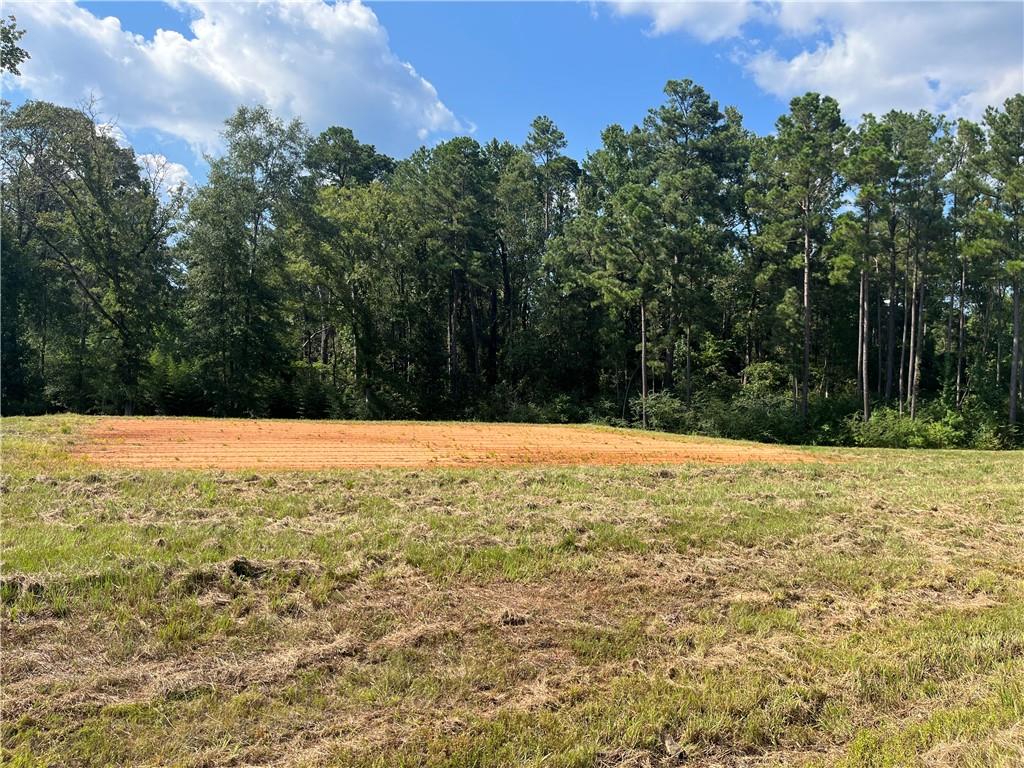 Lot 22 Archie Drive Colfax, LA 71417 - Photo 1 of 23