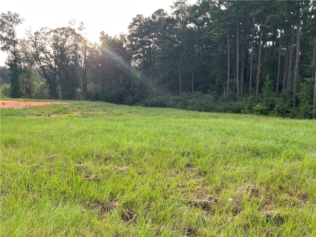 Lot 22 Archie Drive Colfax, LA 71417 - Photo 15 of 23