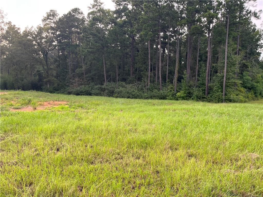 Lot 22 Archie Drive Colfax, LA 71417 - Photo 16 of 23