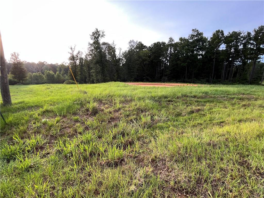 Lot 22 Archie Drive Colfax, LA 71417 - Photo 19 of 23