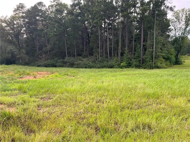 $52,000 | Lot 22 Archie Drive, Colfax, LA 71417