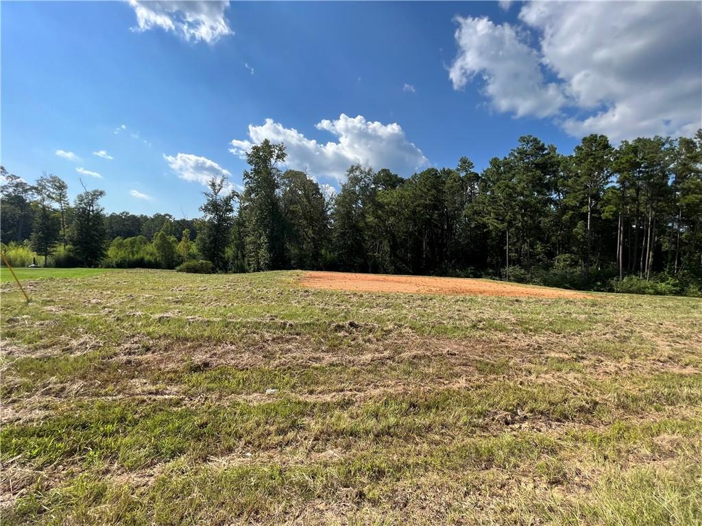Lot 22 Archie Drive Colfax, LA 71417 - Photo 5 of 23