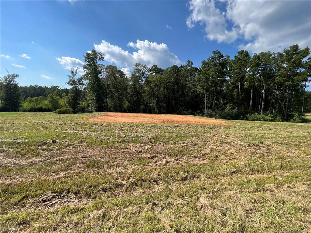 Lot 22 Archie Drive Colfax, LA 71417 - Photo 8 of 23
