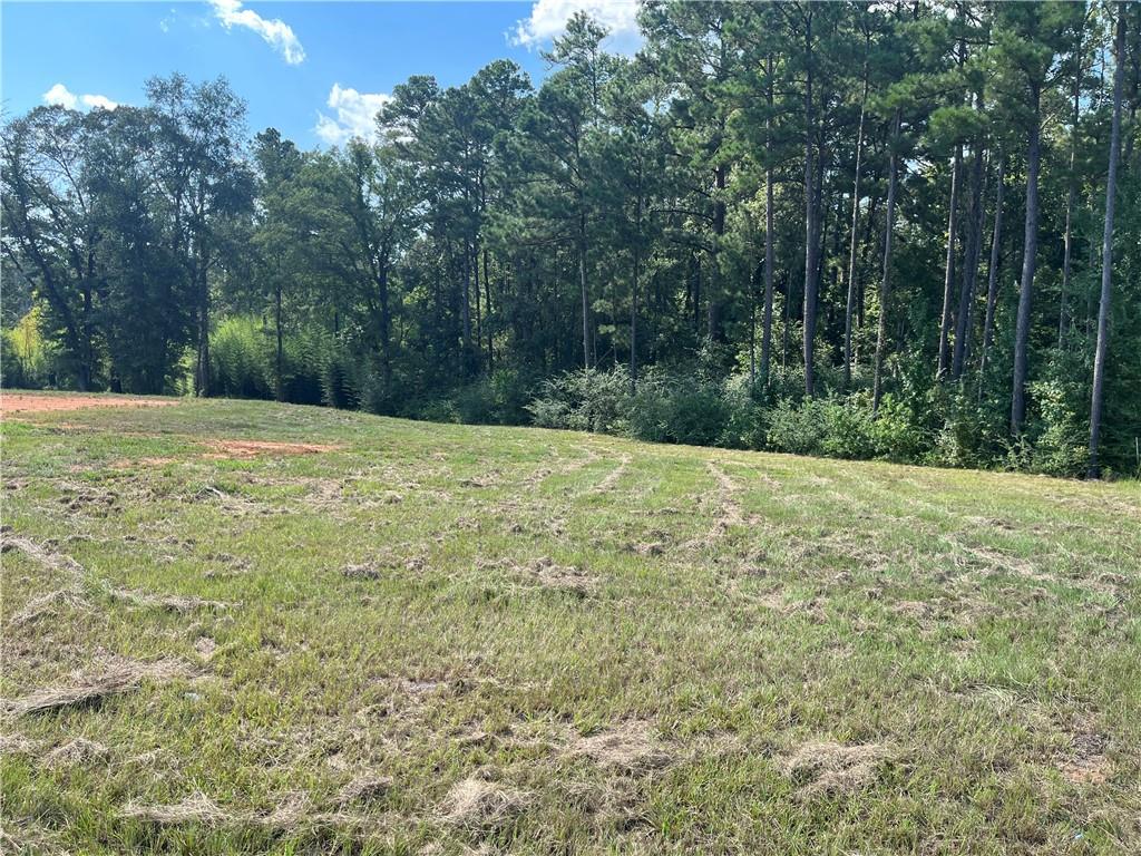 Lot 22 Archie Drive Colfax, LA 71417 - Photo 9 of 23