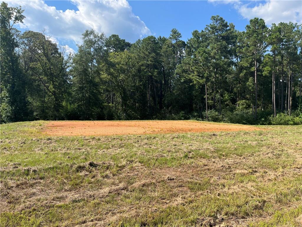 Lot 22 Archie Drive Colfax, LA 71417 - Photo 10 of 23