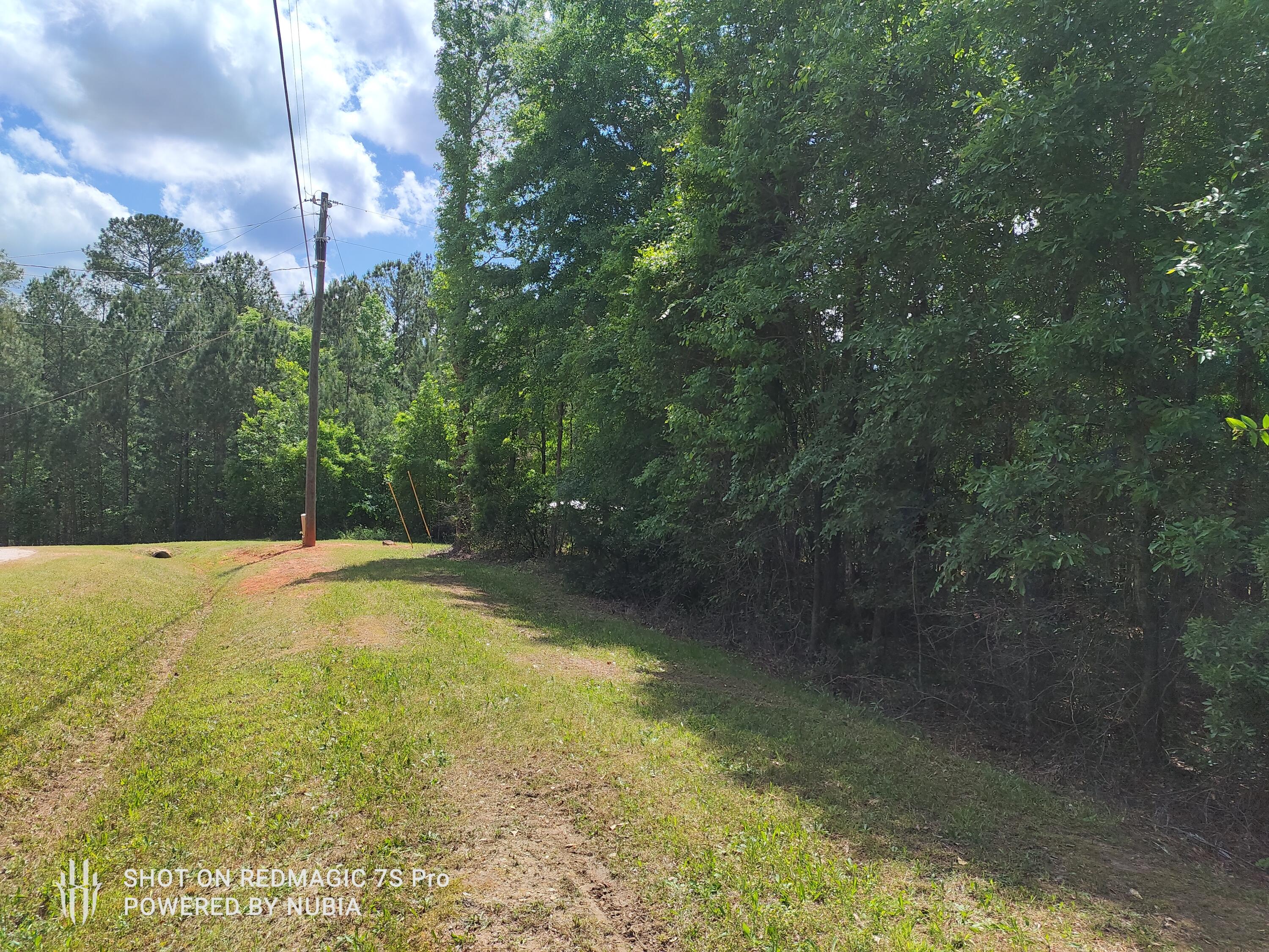 0 Rance Perry Road Appling, GA 30802 - Photo 2 of 5 power easment