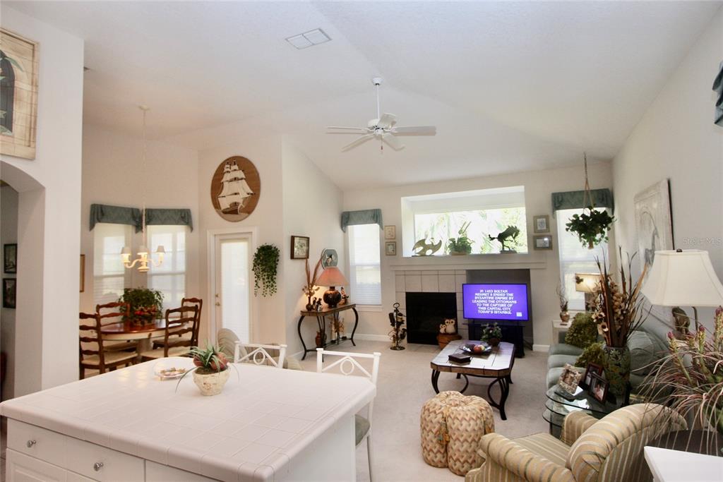 8055 Laurel Ridge Drive Mount Dora, FL 32757 - Photo 15 of 45