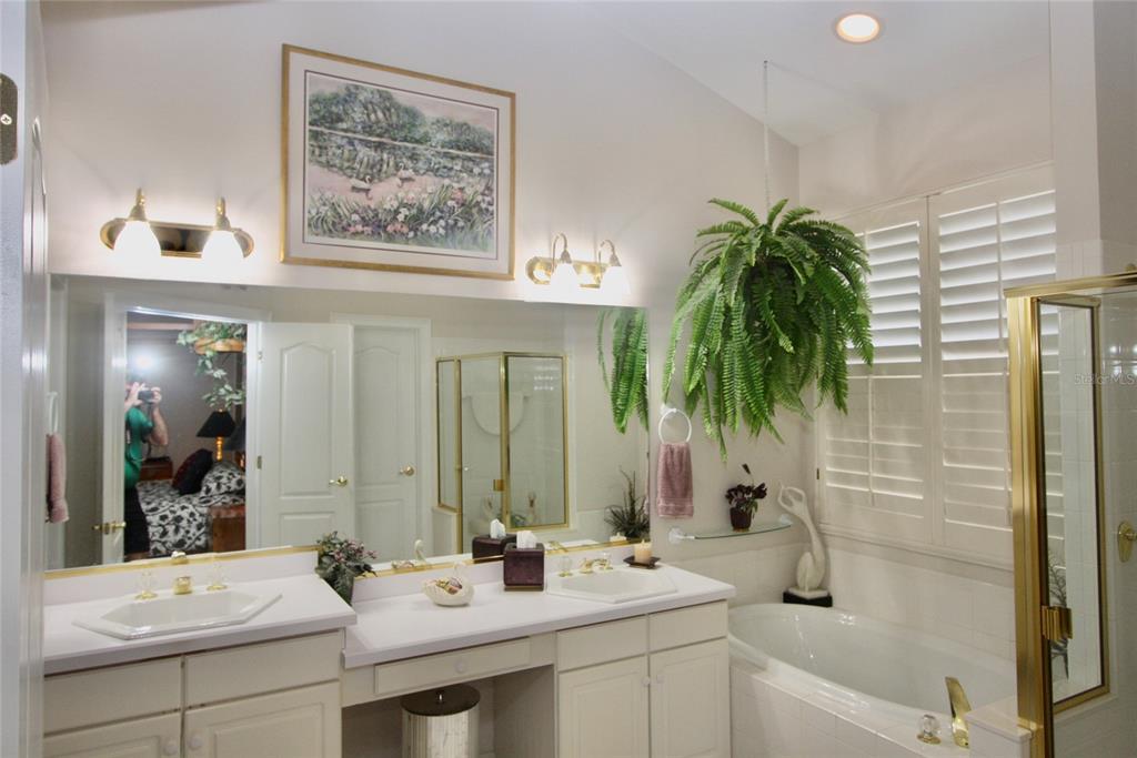 8055 Laurel Ridge Drive Mount Dora, FL 32757 - Photo 24 of 45