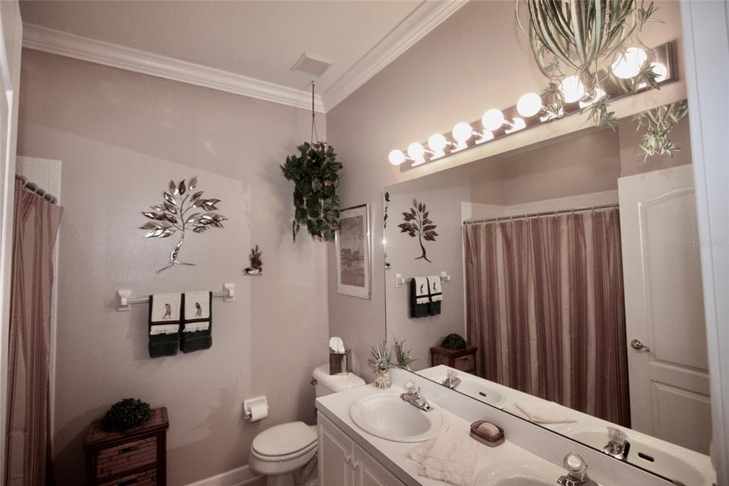 8055 Laurel Ridge Drive Mount Dora, FL 32757 - Photo 28 of 45