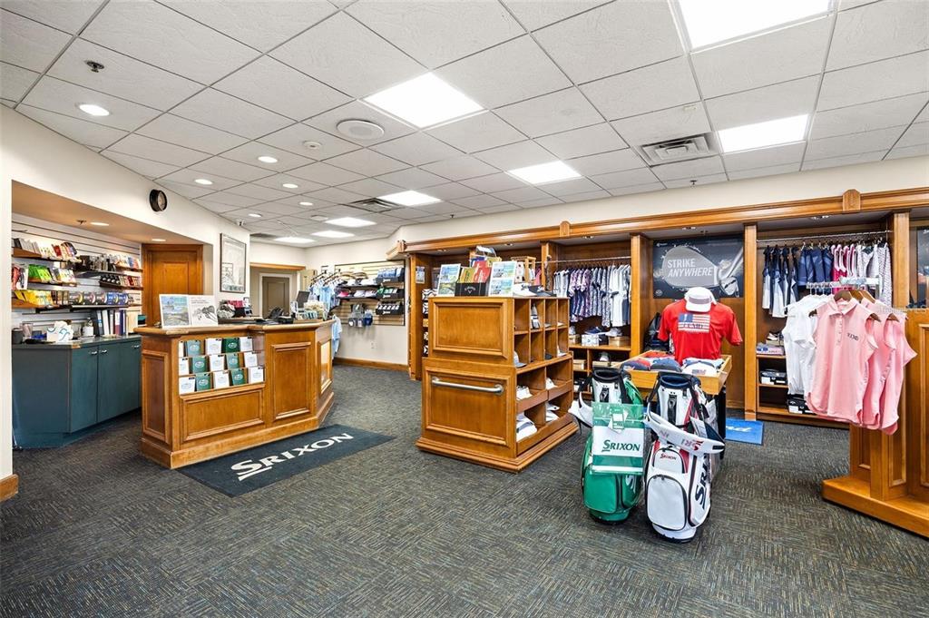 8055 Laurel Ridge Drive Mount Dora, FL 32757 - Photo 39 of 45