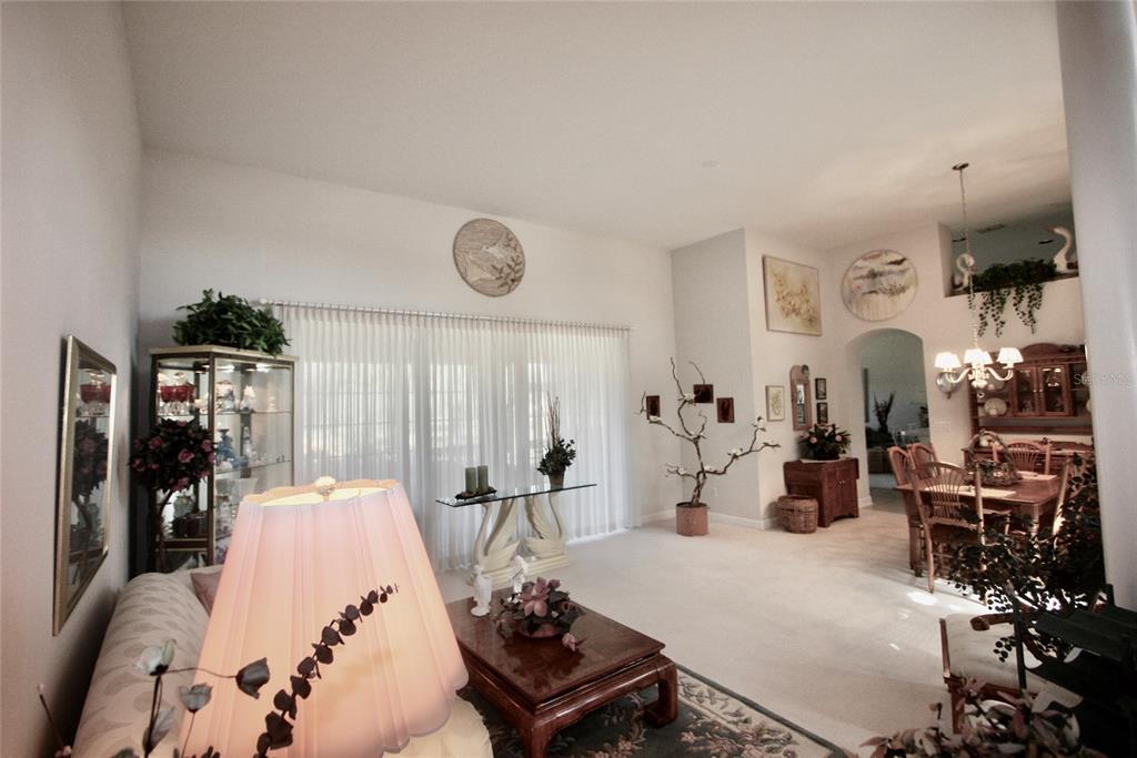 8055 Laurel Ridge Drive Mount Dora, FL 32757 - Photo 10 of 45