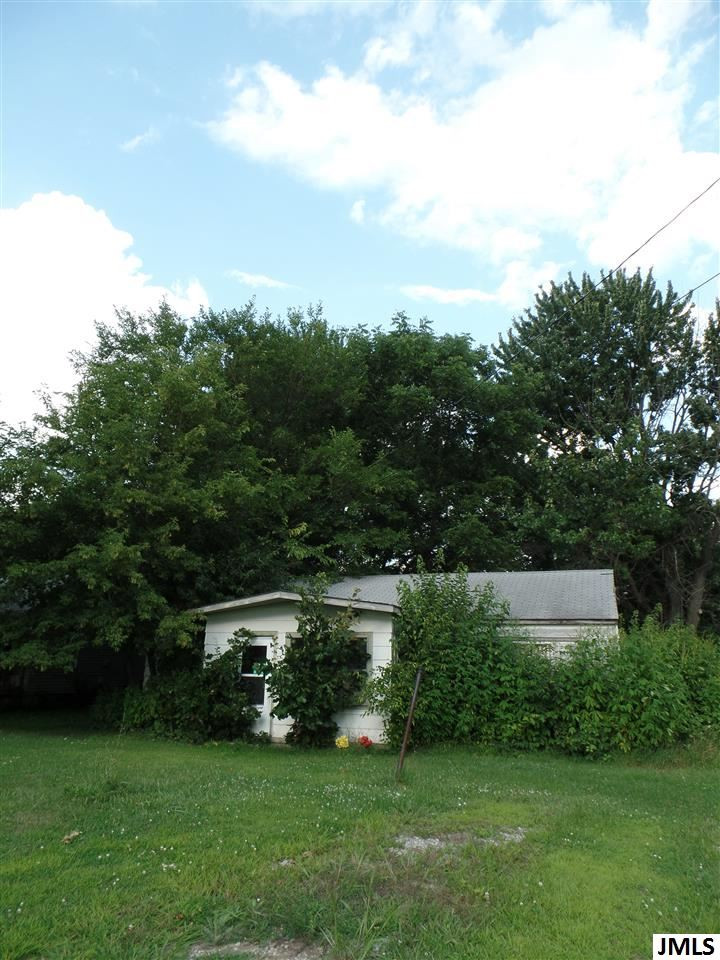 11491 North Meridian Road Pleasant Lake, MI 49272 - Photo 1 of 8 Photo 1