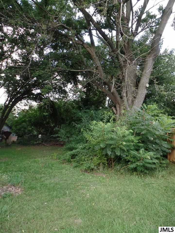 11491 North Meridian Road Pleasant Lake, MI 49272 - Photo 2 of 8 Photo 2