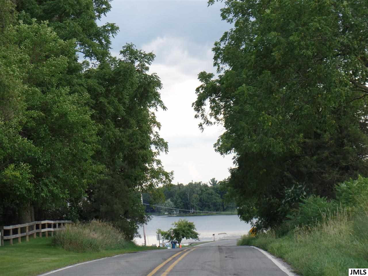 11491 North Meridian Road Pleasant Lake, MI 49272 - Photo 5 of 8 Photo 5