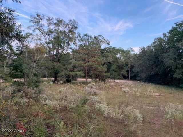 605 Mine Road Midway, FL 32343 - Photo 14 of 17 Gallery Image 14