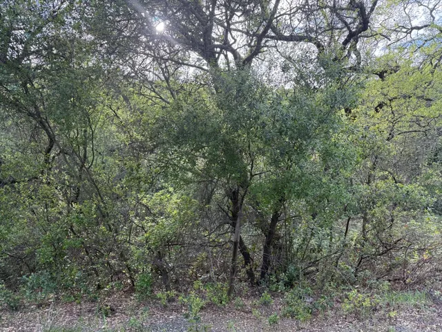 $80,000 | 0 Toby Tyler Way, Dobbins, CA 95935