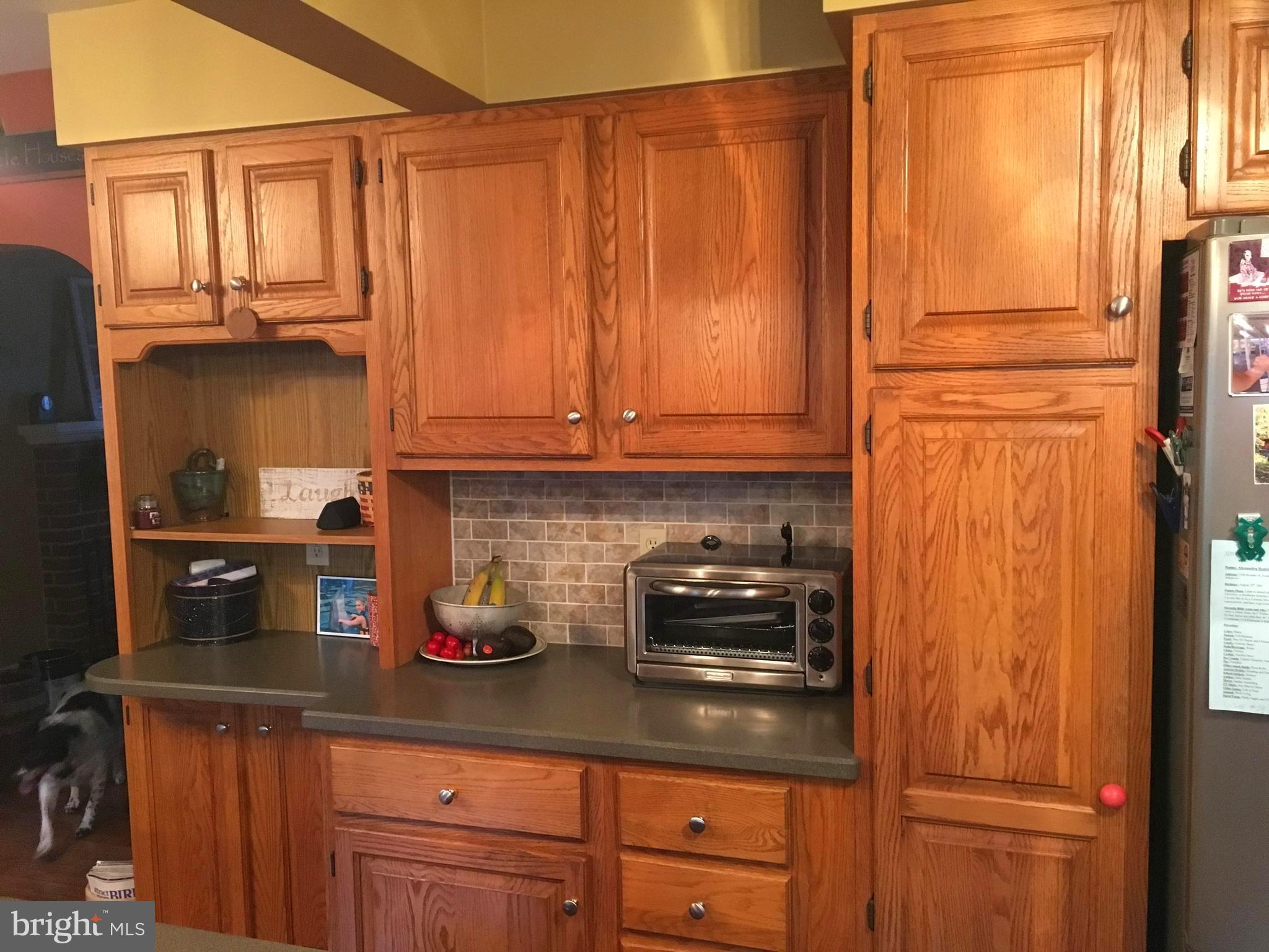 1041 Magazine Road Green Lane, PA 18054 - Photo 12 of 33 Gallery Image 12