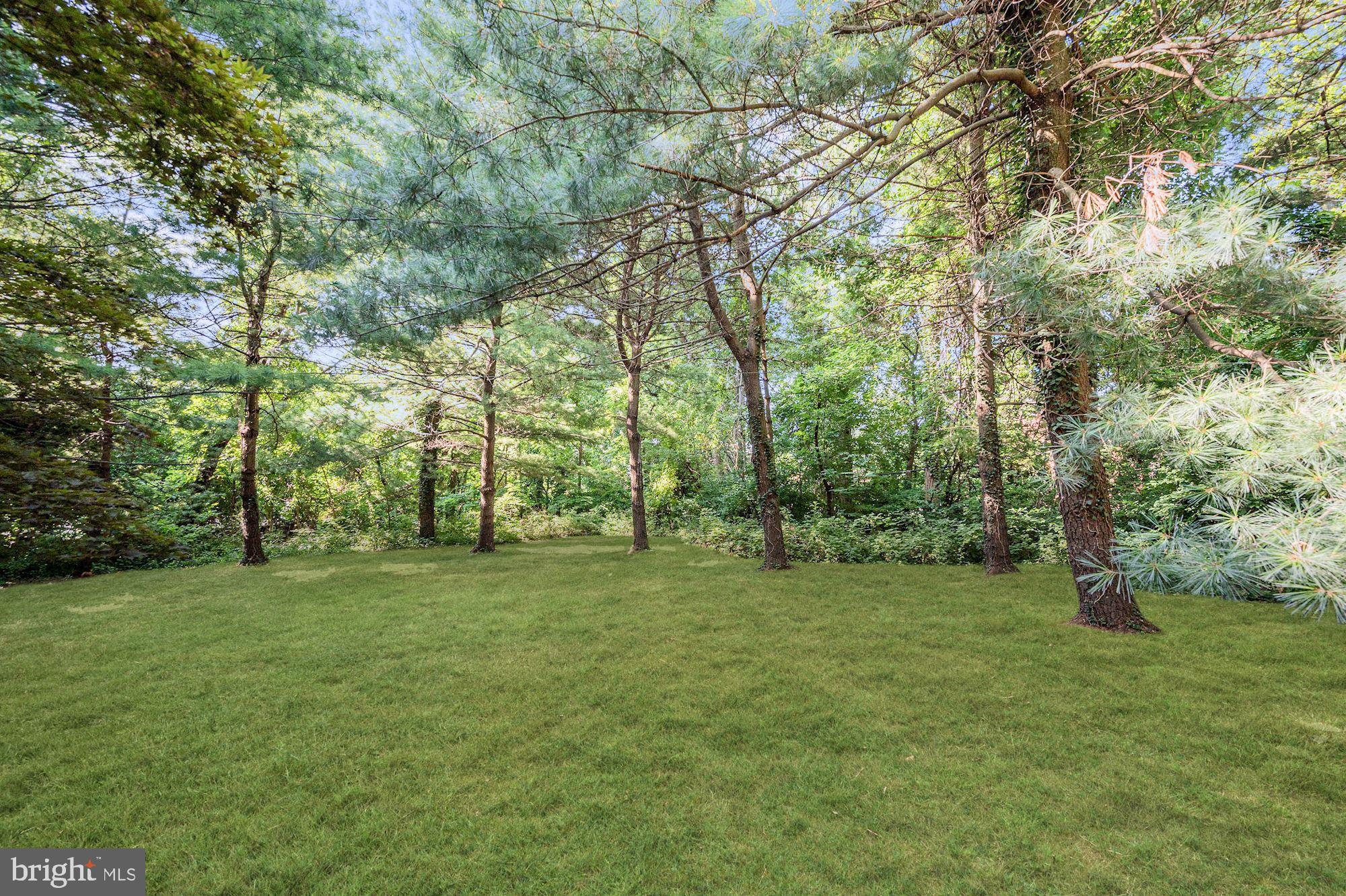 6950 Deerfield Road Pikesville, MD 21208 - Photo 46 of 50 Backyard