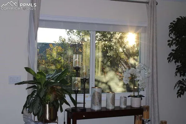 a view of a porch with a potted plant and floor to ceiling window
