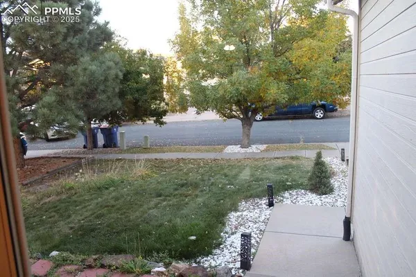 a view of a yard with plants