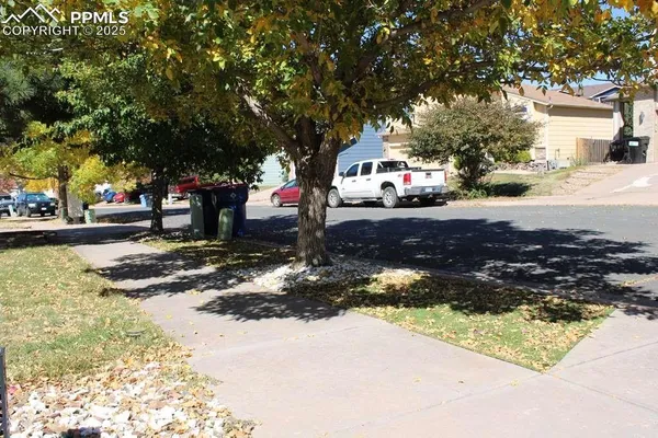 a street view with large trees