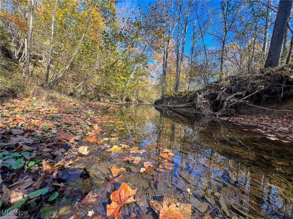 0 Roberts Road Amesville, OH 45711 - Photo 39 of 39 View of nature