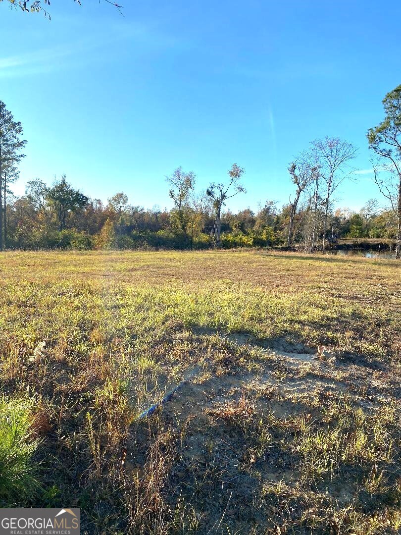 0 Modoc Road Swainsboro, GA 30401 - Photo 2 of 8