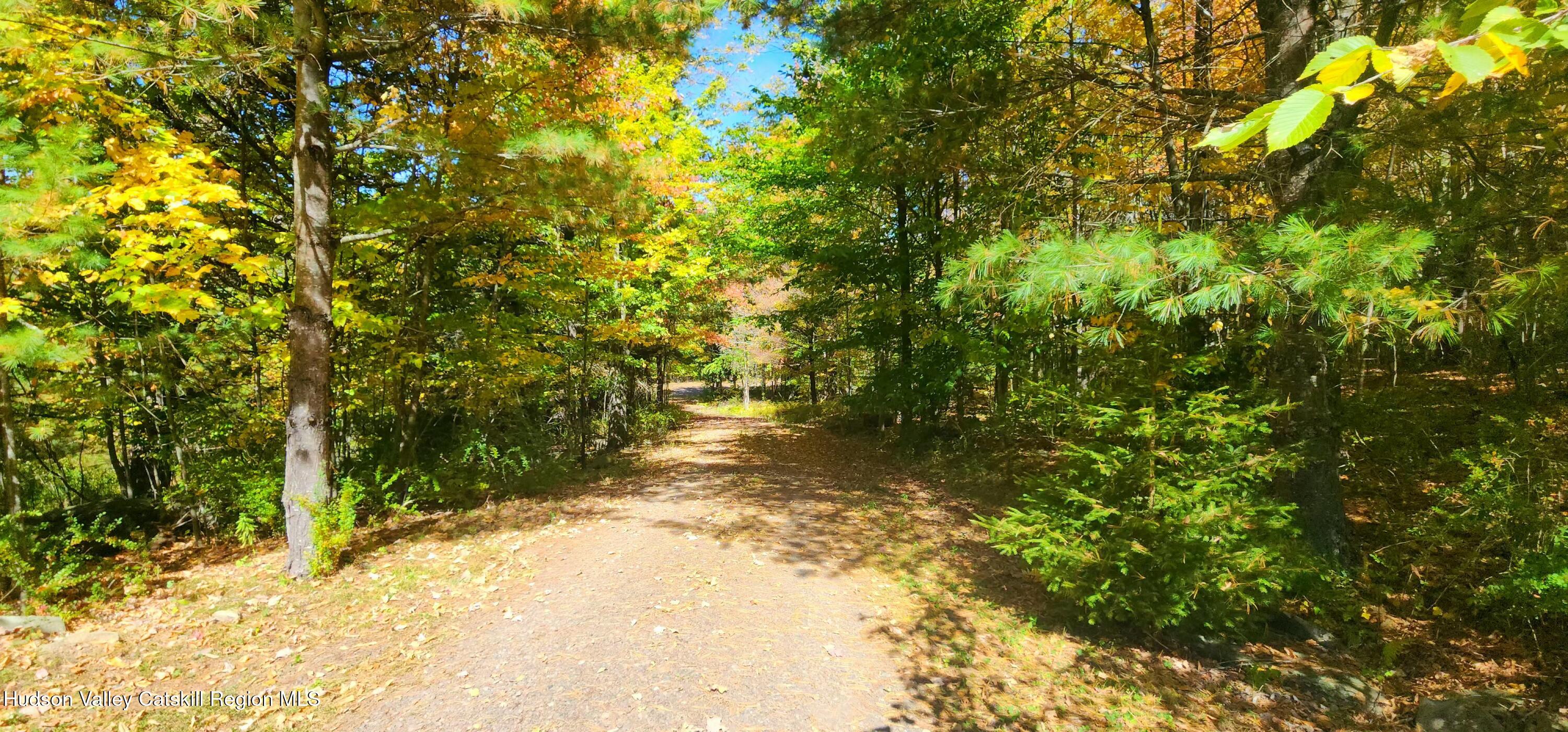 143 Pond View Road Gilboa, NY 12076 - Photo 7 of 18 conesville pond pic
