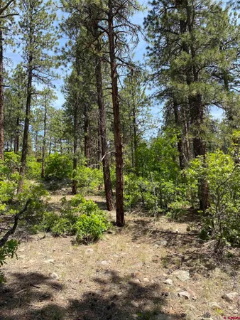 $269,900 | 163 Boulder View Drive, Durango, CO 81301