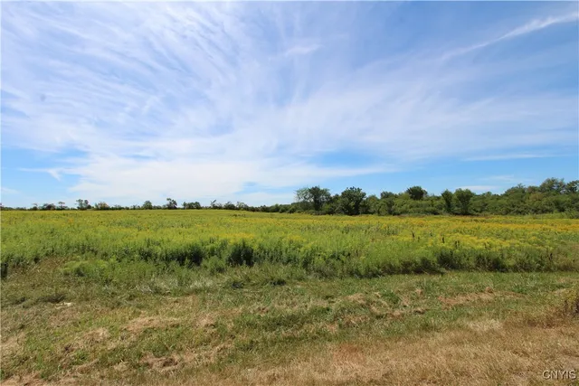 $292,400 | 25049 B Highway 342, Pamelia, NY 13637