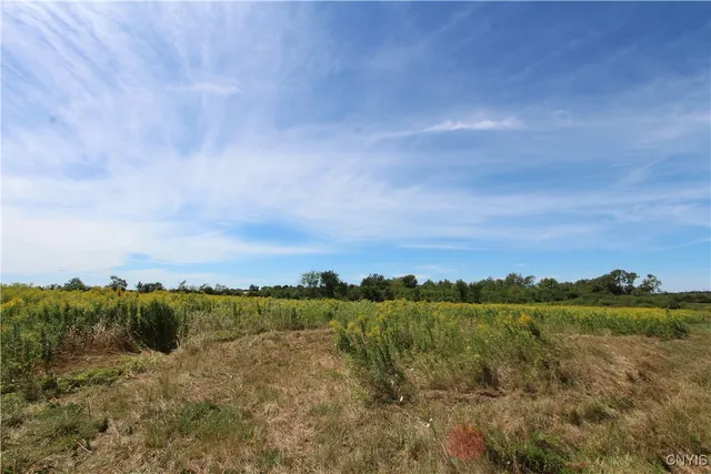 $292,400 | 25049 B Highway 342, Pamelia, NY 13637