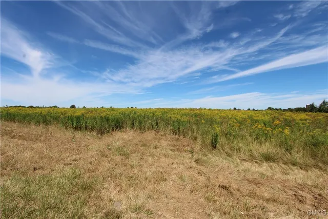 $292,400 | 25049 B Highway 342, Pamelia, NY 13637