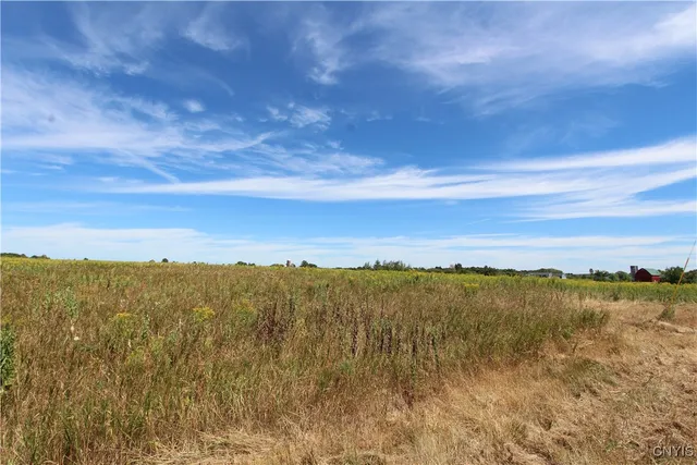 $292,400 | 25049 B Highway 342, Pamelia, NY 13637