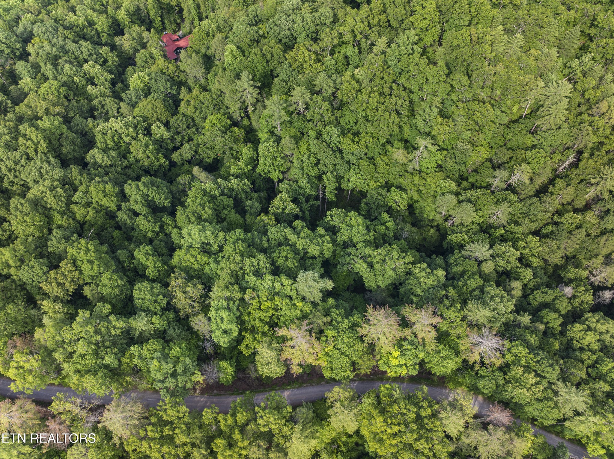 0 Grouse Top (lot 4) Road Walland, TN 37886 - Photo 5 of 10