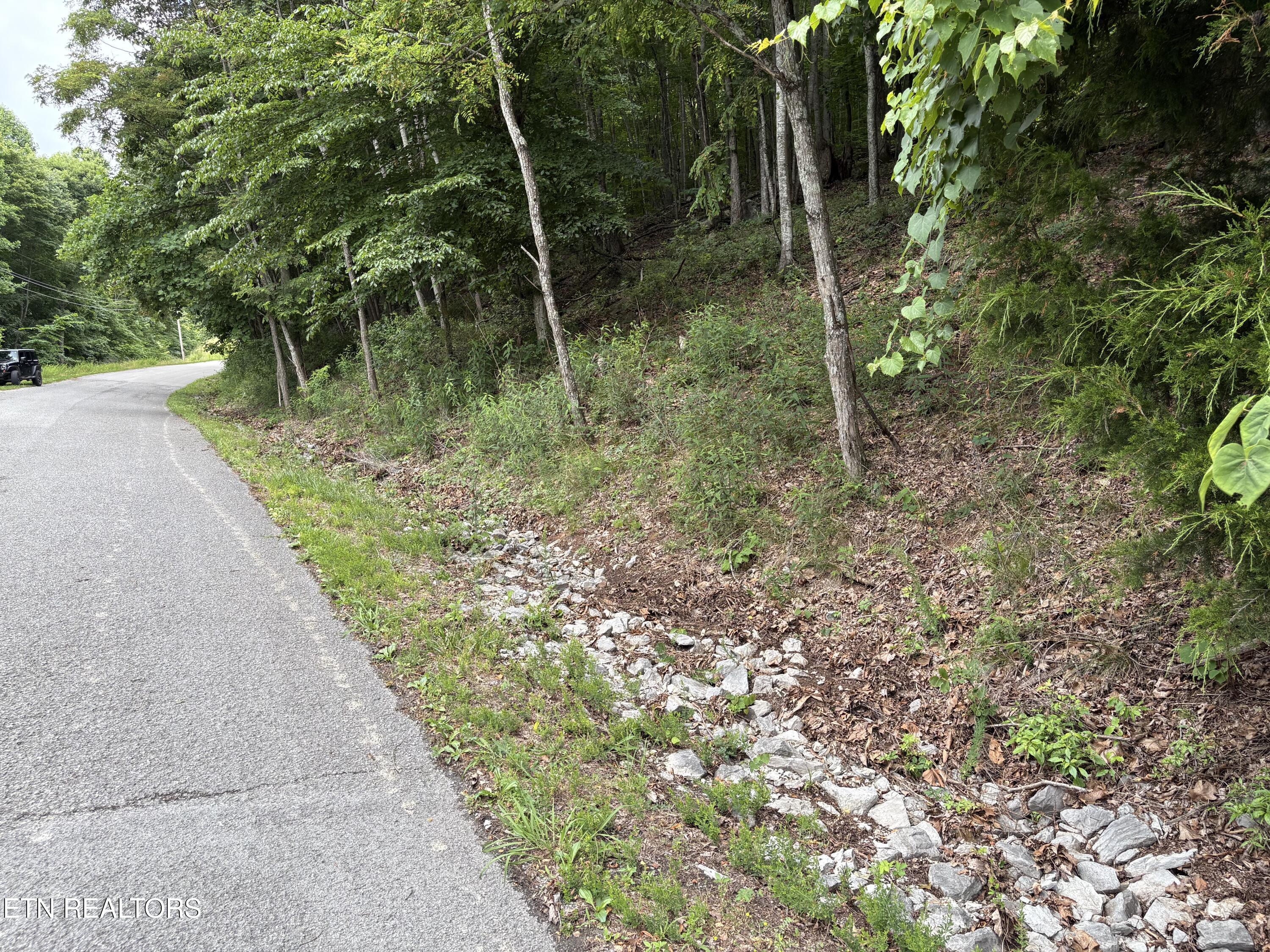 Whistle Valley Road, Unit 130 New Tazewell, TN 37825 - Photo 2 of 11 IMG_0274